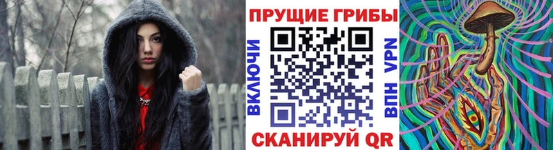 Псилоцибиновые грибы Cubensis  Шилка 